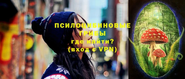 jwh Богородск