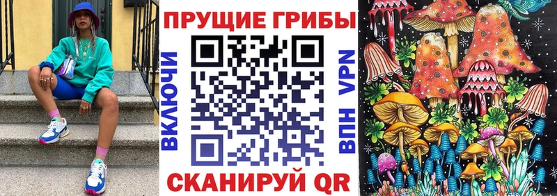 Псилоцибиновые грибы Cubensis  Светогорск 